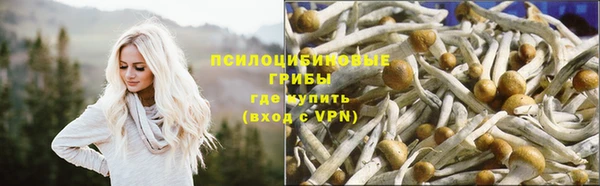 спайс Баксан