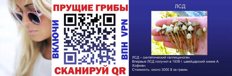 Псилоцибиновые грибы MAGIC MUSHROOMS  Купить  Бокситогорск 