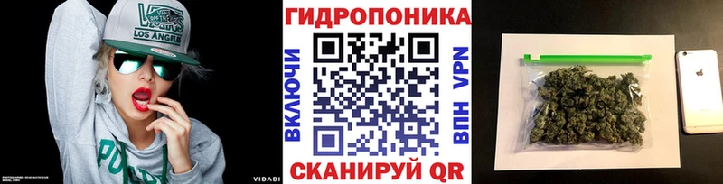 МАРИХУАНА Amnesia  Купить закладки  Бокситогорск 